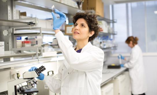 Scientist looking at a microscope slide in the lab.