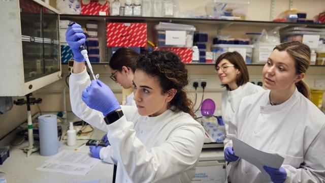 diabetes researchers in lab