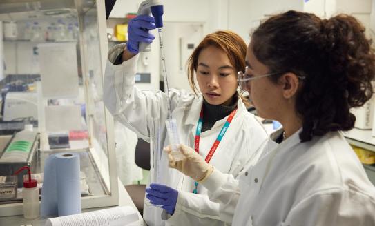 Scientists conducting research in the lab.