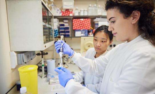 Two scientists wearing white lab coats are working together in a diabetes research lab