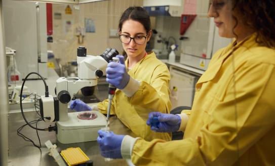 Scientists working in the lab.