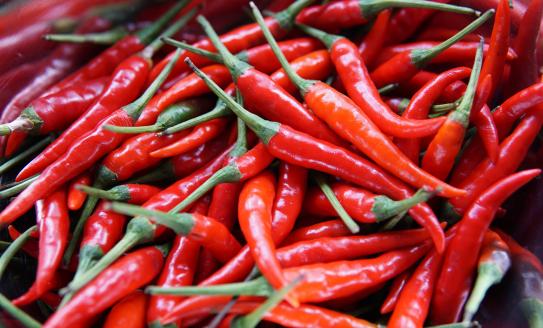 A spicy pile of red chillis