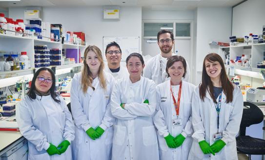 Group of scientists in the lab