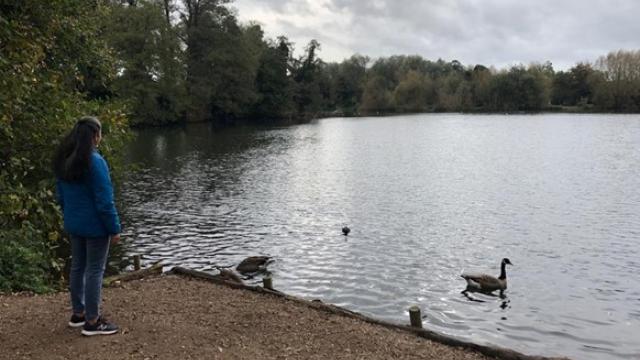 Meera stands looking out at a lake