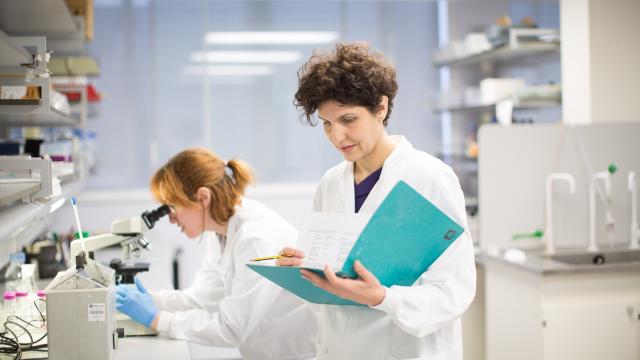 Woman in the lab doing research